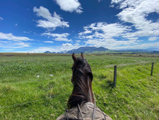 Ecuador-Haciendas-Cloud Forest Getaway Ride